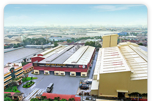 Hoa Sen (HSG) lãi vượt trội, tự tin hoàn thành kế hoạch năm