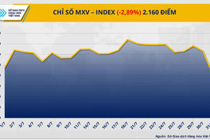 Thị trường hàng hóa đỏ lửa trước thời điểm Mỹ siết thuế nhập khẩu
