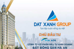 Lỗ lũy kế 263 tỷ, công ty con giữ vai trò quan trọng của Đất Xanh (DXG) vẫn được bơm thêm vốn khủng