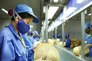 Đề xuất giảm 30% thuế thu nhập với doanh nghiệp quy mô nhỏ