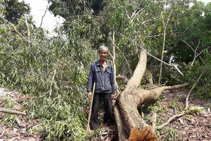 Xã hội đen ở Phú Quốc sẽ hết đất sống?