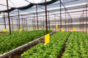 Ứng dụng khoa học, chuyển giao công nghệ trong sản xuất nông nghiệp và đời sống