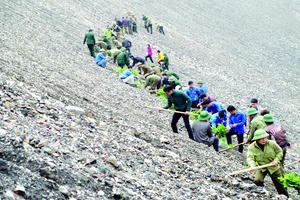 Tổ chức, cá nhân đề nghị thực hiện thẩm định phương án cải tạo, phục hồi môi trường phải nộp phí