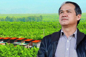 Sau thương vụ với Thaco, công ty nông nghiệp của bầu Đức tiếp tục được Hưng Thắng Lợi Gia Lai mua thêm lượng cổ phiếu trị giá hơn 570 tỉ đồng