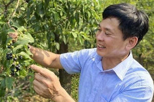 Để đất nước có một lớp nông dân đổi mới