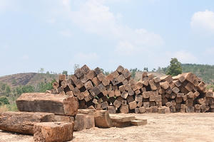 Công ty TNHH MTV Lâm Nghiệp Đăk Tô có “gian dối” trong vụ kéo gần 100m3 gỗ không rõ nguồn gốc?