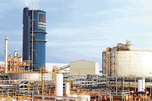 Đạm Phú Mỹ (DPM): Chốt quyền nhận cổ tức 15%, chuẩn bị phát hành lượng lớn cổ phiếu thưởng