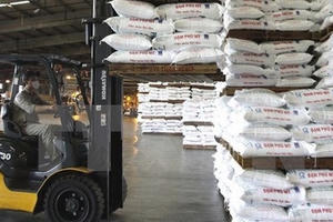 Kiểm toán Nhà nước yêu cầu Đạm Phú Mỹ điều chỉnh báo cáo tài chính