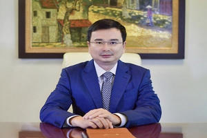 Tỷ giá tăng nhưng cân đối cung cầu ngoại tệ về cơ bản không có biến động lớn