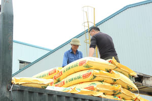 Đạm Hà Bắc tiếp tục chìm sâu trong thua lỗ, phải trả hơn 2 tỷ tiền lãi mỗi ngày