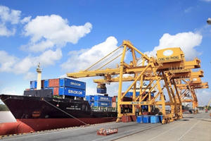 Doanh nghiệp xuất nhập khẩu Việt: Nỗ lực tìm giải pháp tháo gỡ khó khăn