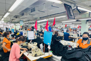 Doanh nghiệp buộc phải đổi mới sáng tạo nếu muốn vươn ra thế giới