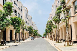 Dream City Villas bị xử phạt: Huy động 9.500 tỷ đồng trái phiếu 'quên' báo cáo, lộ diện khoản lỗ 185 tỷ đồng