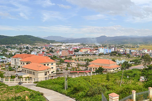 Tân Mai xin chuyển hơn 118 ha đất rừng Lâm Đồng để làm khu dân cư