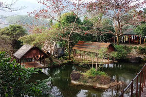 Đà Nẵng: Thông qua đồ án khu du lịch sinh thái rộng gần 340ha tại Hòa Vang