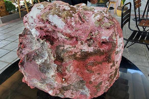 Những khối đá nghi “long diên hương” được tìm thấy ở vùng biển Quảng Ngãi quý và đắt cỡ nào?