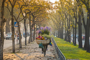 Thời tiết tuần 13 - 19/6: Vùng núi Bắc Bộ có mưa; Trung Bộ nắng nóng kéo dài; Tây Nguyên và Nam Bộ trời tạnh ráo