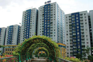 Giám đốc Chứng khoán Bản Việt làm thành viên Hội đồng quản trị Năm Bảy Bảy