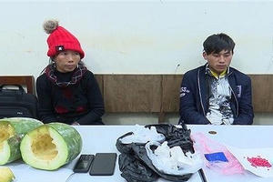 Bắt các đối tượng lợi dụng giao thừa để vận chuyển ma túy