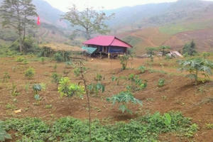 Đầu tư nhà vườn sinh thái thành gánh nặng, đua nhau bán tháo