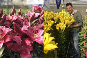 Khách VIP săn hoa lạ chơi tết, giá khủng 80 triệu đồng/bình