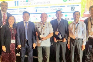 Hạt gạo Việt giành giải ngon nhất thế giới có gì đặc biệt?