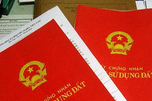 Các chính sách bất động sản có hiệu lực từ tháng 1-2020