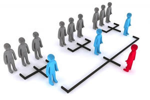 Royal Distribution dừng hoạt động đa cấp sau 10 năm