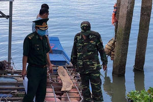 Heo lậu tăng theo giá heo