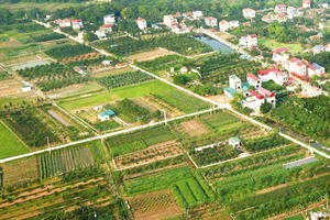 Nam Định: tổ chức đấu giá đất đồng loạt trong tháng 9