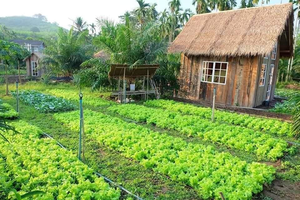Giá đất làm farmstay tăng tới 7% trong mùa dịch, lợi nhuận chỉ dành cho nhà đầu tư giàu vốn