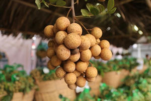 Nhãn tươi Việt Nam bán tại Australia gần 200.000 đồng/kg