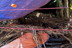 Điều tra nguyên nhân hai vụ án mạng trong một ngày tại Quỳnh Lưu