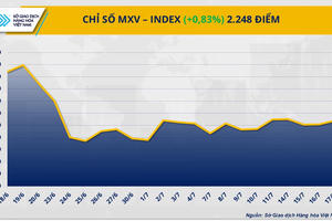Chỉ số MXV-Index tăng tuần thứ hai giữa biến động giằng co của thị trường
