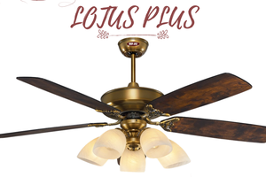 Quạt trần Mr.Vũ: “Lấy văn hóa doanh nghiệp làm nền tảng phát triển bền vững”