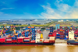 Container Việt Nam (VCS) muốn thâu tóm cảng Nam Hải Đình Vũ