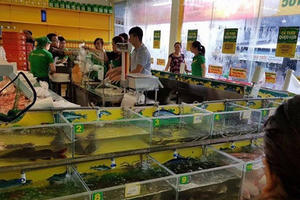 Bách Hóa Xanh vừa có tháng mở rộng mạnh nhất từ trước đến nay, tiêu thụ 6.000 tấn hàng tươi sống trong 1 tháng