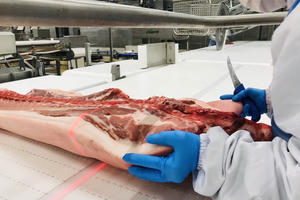 Giá heo hơi hôm nay 20/1/2021: Nhiều địa phương vọt lên 86.000 đồng/kg