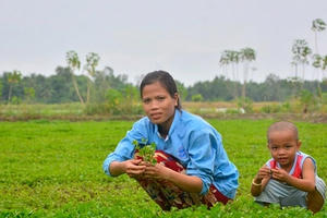 Lạ mà hay: Chỉ trồng loài rau mọc hoang mà kiếm bộn tiền