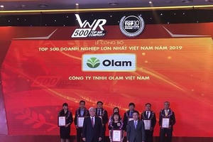 Công bố tốp 500 doanh nghiệp lớn nhất Việt Nam năm 2019