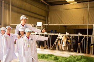 Sữa học đường: “Trăm nghe” và… đã thấy