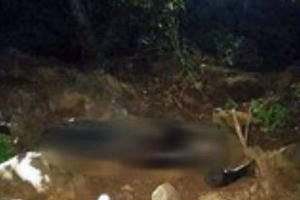 Thi thể người đàn ông không nguyên vẹn nghi bị lợn rừng xâm hại