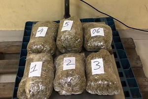 Triệt phá đường dây vận chuyển gần 6 kg cần sa từ Mỹ về Việt Nam