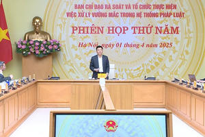 Kế hoạch hoạt động của Ban Chỉ đạo rà soát, xử lý vướng mắc trong hệ thống pháp luật