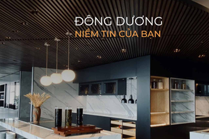 Công ty Thương mại và Xây dựng Đông Dương bị phạt và truy thu thuế hơn 4,1 tỷ đồng