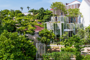 Ngôi nhà kính ẩn nấp giữa rừng cây ở Huế