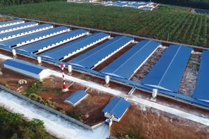 Danh mục tài sản "lớn đột biến" qua các khoản phải thu, phải trả với “người nhà”, BAF Việt Nam thực chất có gì?