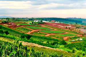 Nhiều nhà đầu tư “sống dở chết dở” khi ôm đất giá cao, vừa xuống tiền thị trường đã hạ nhiệt