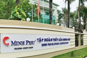 Thủy sản Minh Phú (MPC) chốt quyền chia cổ tức tiền mặt, lãi 9 tháng vượt 400 tỷ đồng