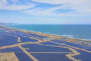 Bamboo Capital (BCG) “cắt” bớt 960 tỷ đồng định rót cho công ty bảo hiểm AAA trong tình cảnh kinh doanh tụt dốc, âm nặng dòng tiền